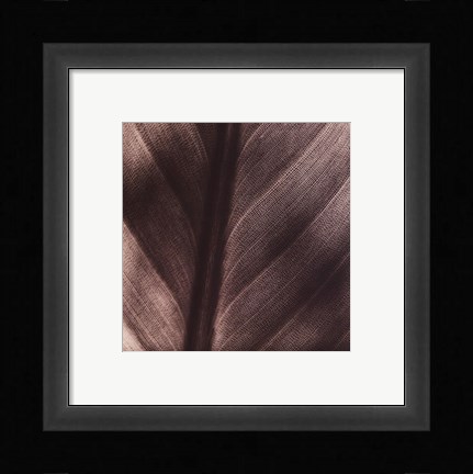 Framed Details Print