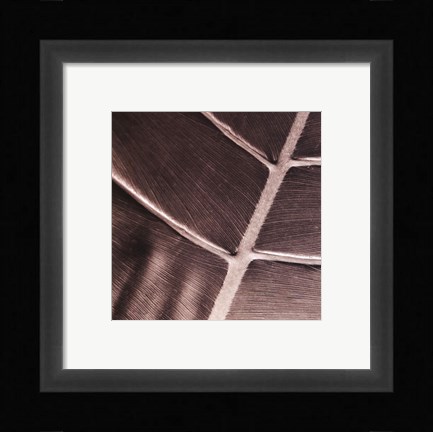 Framed Particular Print