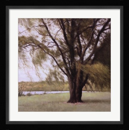 Framed Lakeside Trees II Print