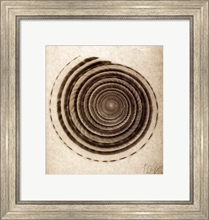 Framed Sundial Shell Print