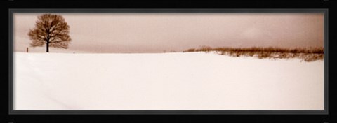 Framed Winter Peace Print