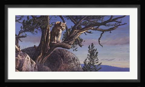 Framed On the Alert Print