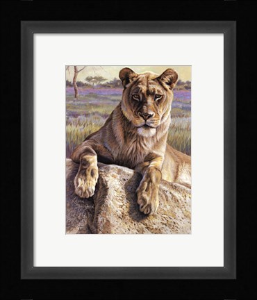 Framed Serengeti Lioness Print