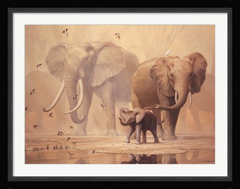 Framed African Elephants and Namaqua Doves Print
