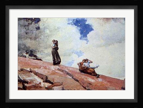 Framed Watching from the Cliffs Print