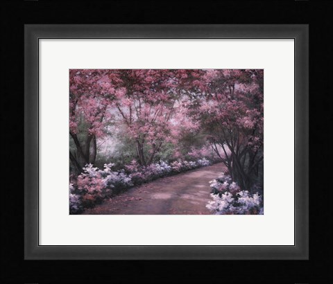 Framed Azalea Walk Print