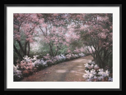Framed Azalea Walk Print