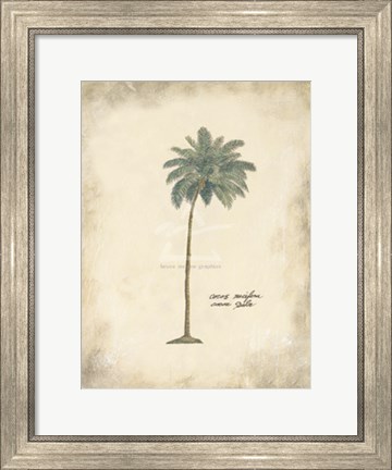 Framed Cocoa Palm Print