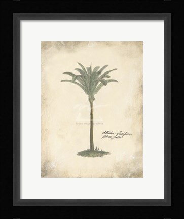 Framed Fibres Palm Print
