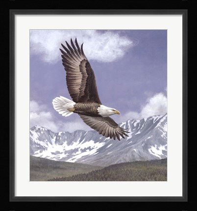 Framed Soaring High Print