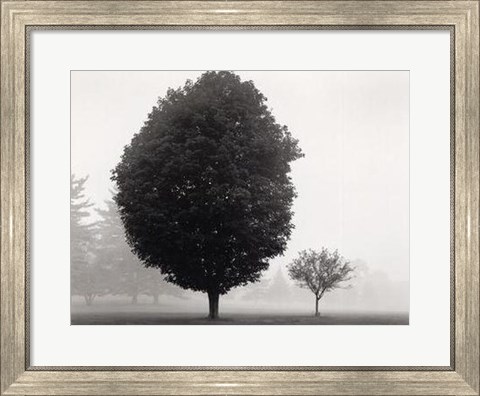 Framed In Touch with Stillness Print
