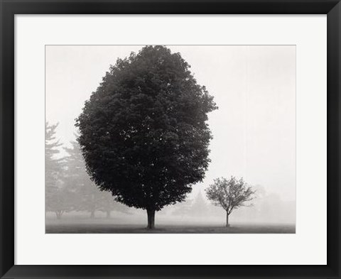 Framed In Touch with Stillness Print