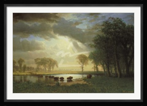 Framed Buffalo Trail, c.1867 Print