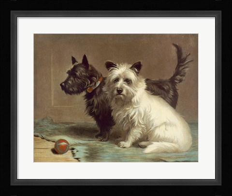 Framed Scotty and Khaki Print