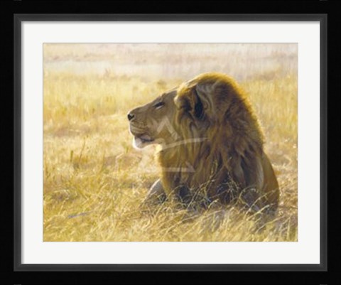 Framed Danger on the Wind Print