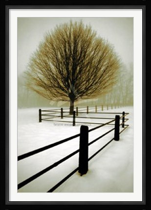 Framed Solitude Print