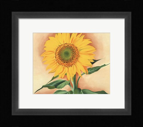 Framed Sunflower from Maggie, 1937 Print