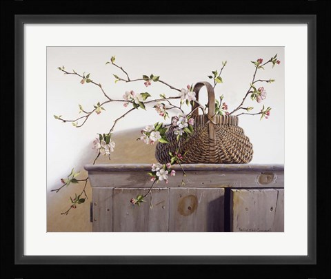 Framed Apple Blossoms Print