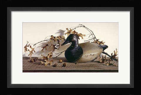 Framed Chesapeake Bay Canvasback Print