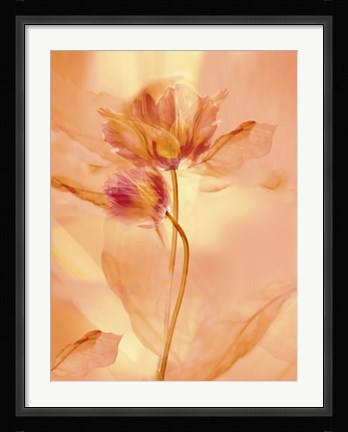 Framed Transparence VII Print