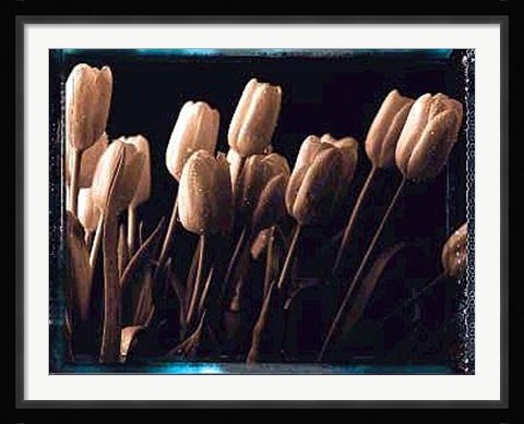 Framed Tulips Print