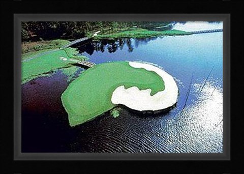 Framed Determination Print