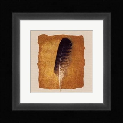 Framed Plume Print
