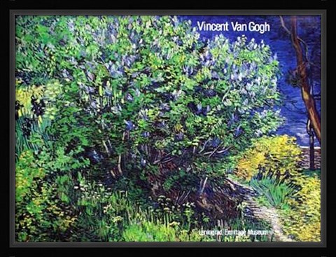 Framed Trees and Pond Print