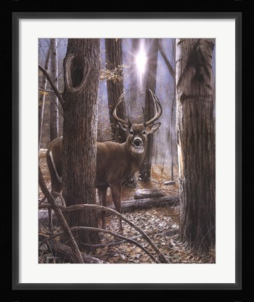 Framed Woodland Sentry Print