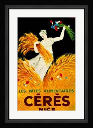 Framed Ceresnice Print