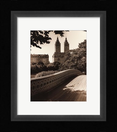 Framed Central Park Bridges I Print