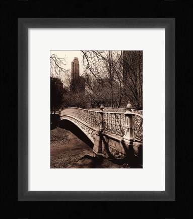Framed Central Park Bridges II Print