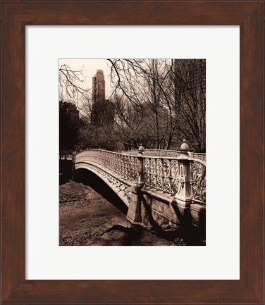 Framed Central Park Bridges II Print