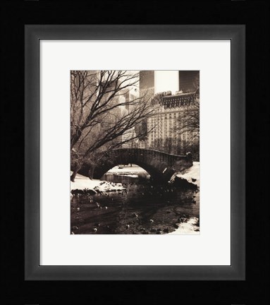 Framed Central Park Bridges IV Print