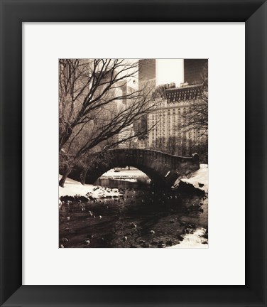 Framed Central Park Bridges IV Print