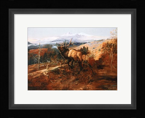 Framed Elk Print