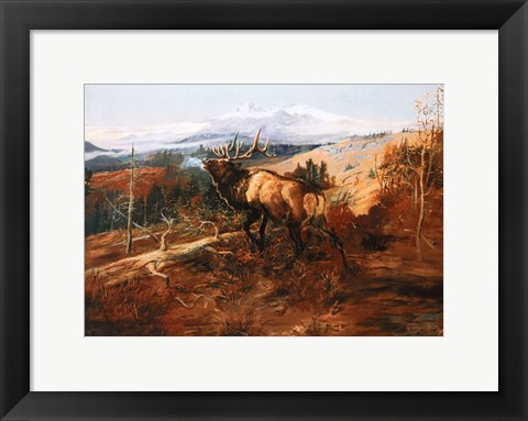 Framed Elk Print
