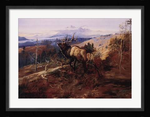 Framed Elk Print