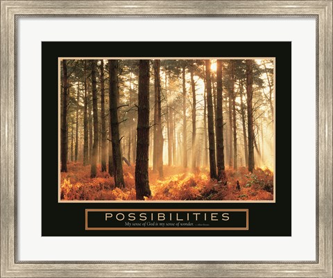 Framed Possibilities-Sunlight Print