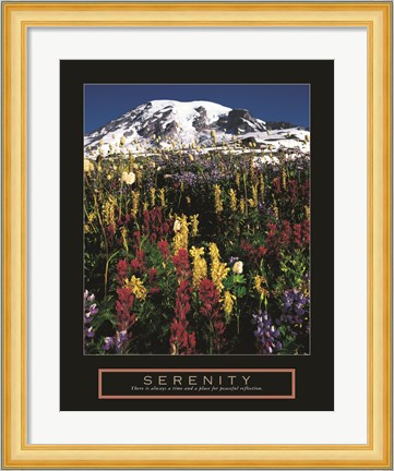 Framed Serenity - Mt. Rainier Print