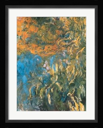 Framed Iris, 1914-1917 Print