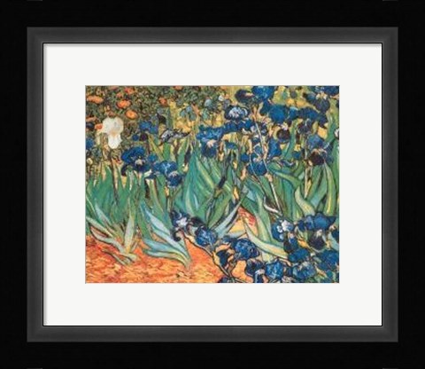 Framed Iris Garden Print
