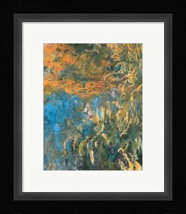 Framed Iris, 1914-1917 Print