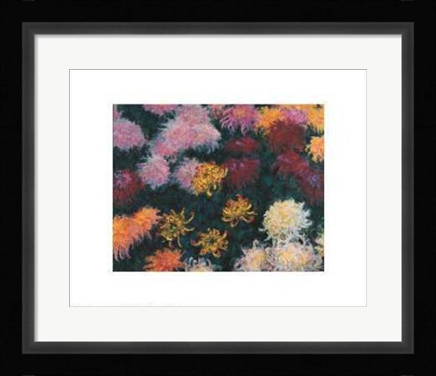 Framed Chrysanthemum, 1897 Print
