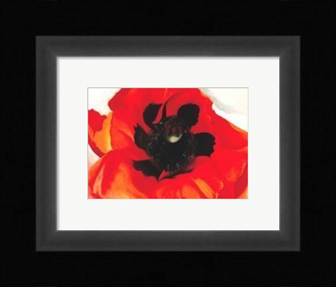 Framed Poppy Print