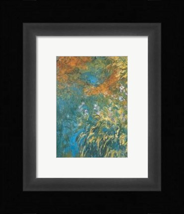 Framed Yellow Iris Print