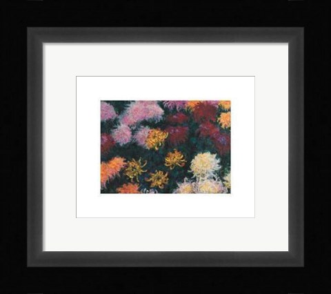 Framed Chrysanthemum, 1897 Print