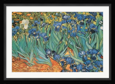 Framed Garden Of Irises Print