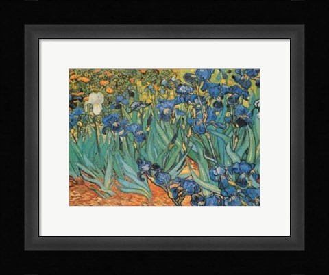 Framed Garden Of Irises Print