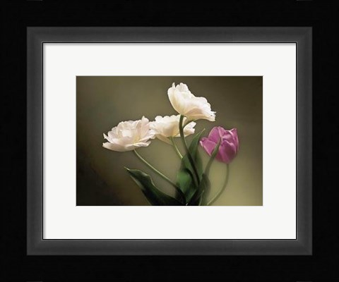 Framed Tulips Print